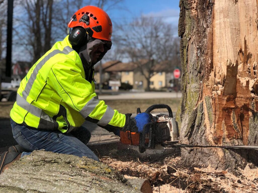 Tree removal worker in a bright yellow safety jacket uses a chainsaw to cut a tree trunk, surrounded by wood chips and a residential area.